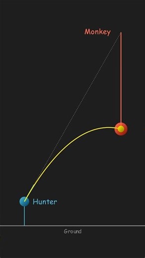 If the Monkey Drops, Does the Hunter Miss? 🤯