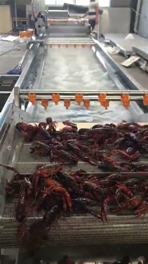 Crayfish cleaning machine - airbubble washing machine for seafood. +86 17537283021