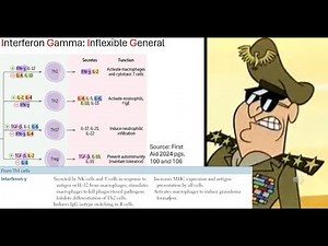 Mnemonics For Every Cytokine | Interleukins, Interferons and TNF Explained | STEP 1 Mnemonic