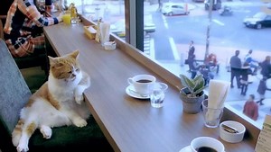 Cashmere Cat on Reels