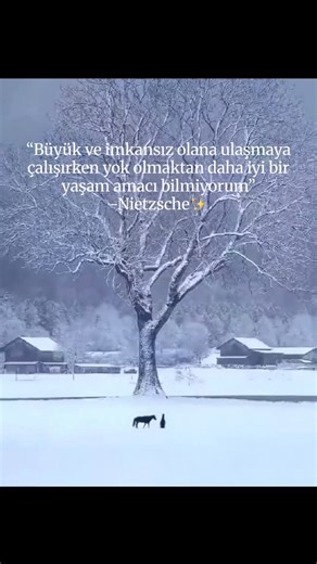 @mrcsaurelius10 on Instagram: "✨Nietzsche’ye göre insanı yaşatan şey hayatta kalmak değil, kendini aşma pahasına büyük olana yönelmektir. Nietzsche’nin bu sözü birkaç güçlü yerden okunabilir: 1) Varoluşçu açıdan Yaşamın değeri güvenli kalmakta değil, sınırları zorlayacak kadar cesur bir amaç edinmektedir; yok oluş riski, anlamsız bir hayattan daha onurludur. 2) İrade ve güç perspektifi İnsan, kendini aşmaya çalıştığı ölçüde yaşar. “İmkânsız”a yönelmek, iradenin en saf ifadesidir; geri durmak ise