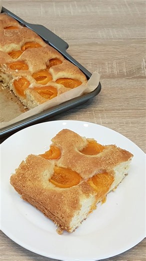 Saftiger Aprikosenkuchen / Aprikot Cake
