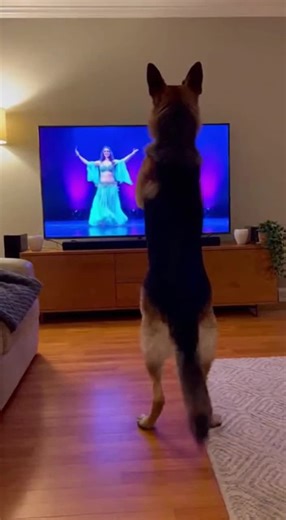 POV: The algorithm knew he had potential 🐶💀💃 | Visual Frames