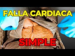 Cómo empieza a FALLAR el corazón: lentamente