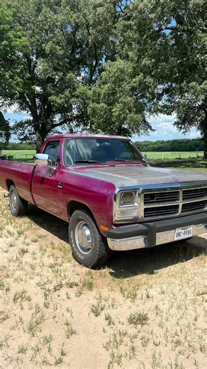 1992 Dodge d250 #firstgen