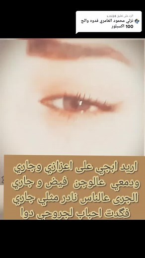 المهرة على TikTok