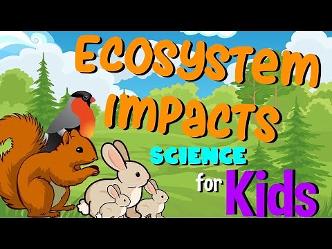 Ecosystem Impacts | Science for Kids