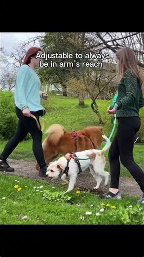 This leash has a 2nd handle that is easy to quickly catch for instant stability whenever you need it