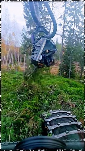 Part 004 Feller Buncher operator skills #woodworking