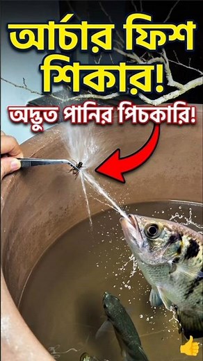 Amazing Water Sniper