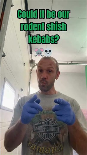 Our rodent control, so good, it’s to die for 🐭💀