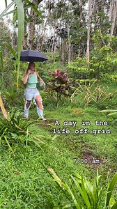 14K views · 2K reactions | Here’s what a day looks like for us living off grid☀️ - #adayinthelife #vlog #vlogreels #reels #dayinthelife #offgrid #tropics #lgbt #couple #fruit #local #organic #ocean #hawaii #abundance #manifest #manifestation #yurt #outdoorliving #outdoors #nature #offgridliving #homestead #selfsustainable #goals #vlogs #plantbased #whatiatetoday #whatieatinaday #vlogger | Organic Vegan Living | Facebook