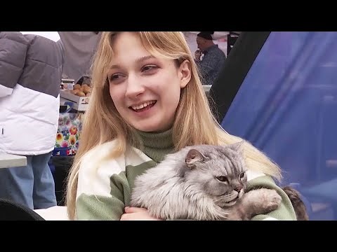 17-Year-Old Ukrainian Refugee Flees With Cat to Poland