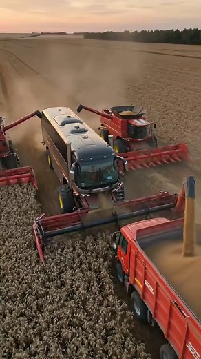 Tecnologia e Agrotech: O Futuro da Colheita
