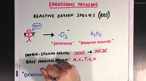 Mutagens and carcinogens