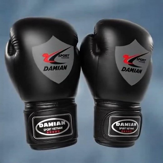 Găng tay Boxing Damian. Dành cho người mới bắt đầu #hocvotainha