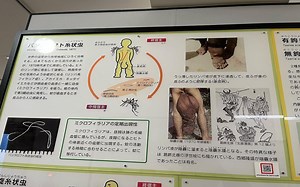 Menyelusuri Keunikan Musem Parasit:  Meguro Parasitological Museum Tokyo