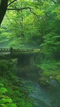 Alan walker bgm ringtone|mind fresh ringtone