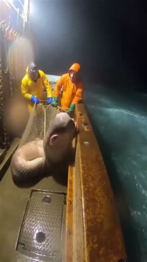 That scream wasn't human🔥😲 #fypシ #viral #horror #cctv #animals