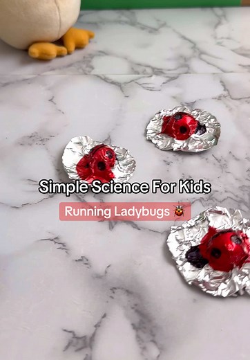 Fun Science Experiment with Ladybugs for Kids