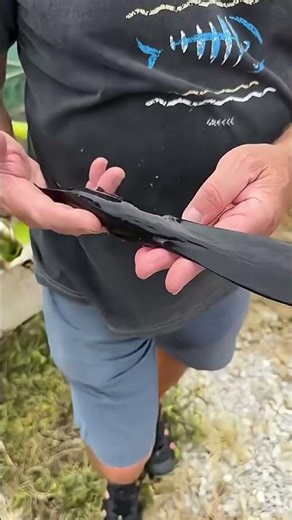 Unlock new Fish #shorts