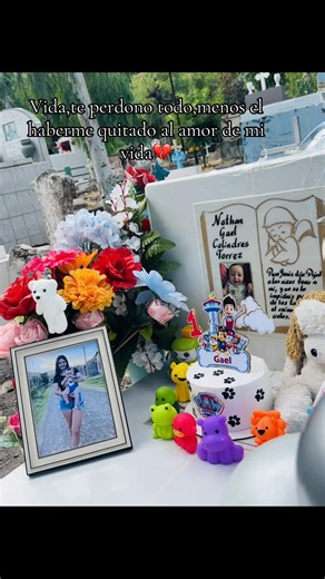 Videos de 𝒮𝓉𝑒𝓅𝒽𝒶𝓃𝒾𝑒💗 (@stephanie_tg_6) con “sonido original - usersusy12”