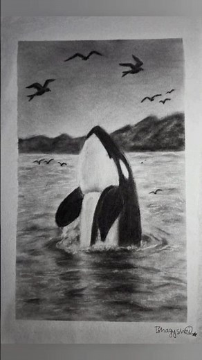 Charcoal drawing tutorial | Orca whale drawing step by step Easy shading & blending techniques