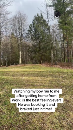 Heartwarming Moments with My Boxer Dog