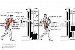 Standing twisting cable row exercise instructions and video
