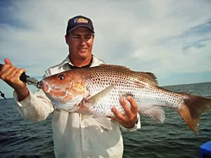 Karumba Point Sunset Caravan Park
