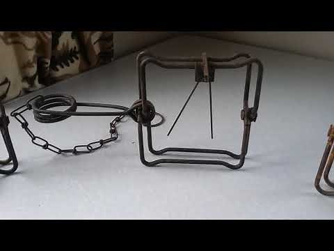 Trigger Options for Bodygrip / Conibear Traps