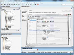 Oracle ADF Training | How to Create an Oracle ADF Entity Object, View Object, Application Module