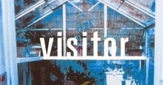 Visitor Q - Cine Canal Online