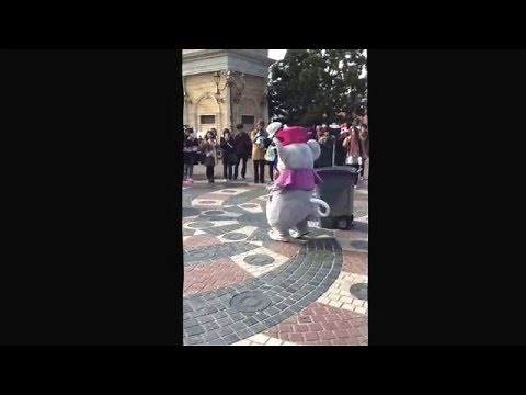 東京ディズニーランド 、清掃員パフォーマンス