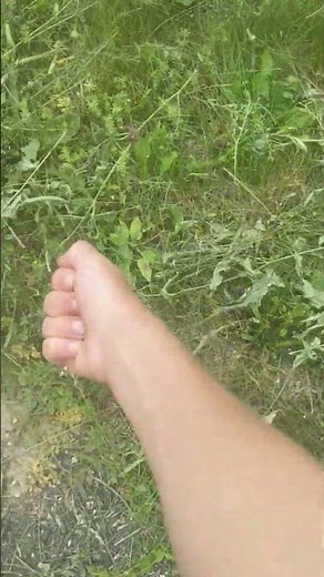 How to catch grasshoppers