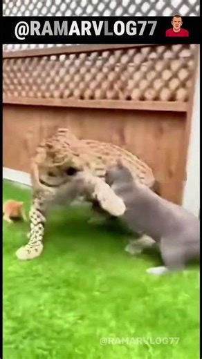 😳 Didn’t see THAT coming! 😳