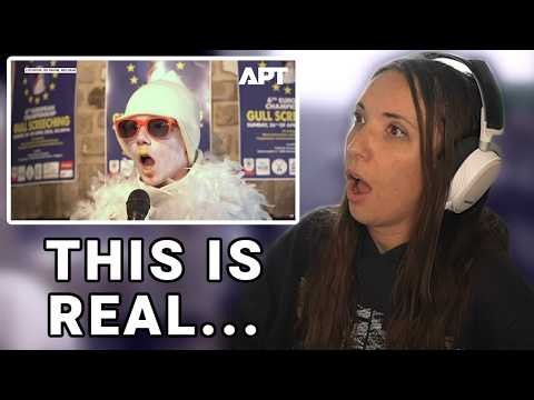 American Reacts to Seagull Imitation Championship