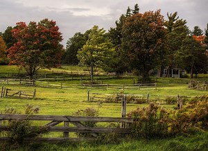 Autumn trees and fences in a grassy field Rare Gallery wallpaper