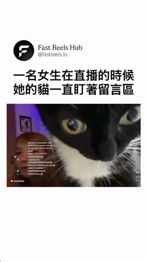Cat comment protector 🫡🔥