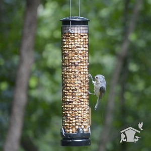 479 reactions | Discover how you can save an extra 15% on our premium bird food every day at Wild Birds Unlimited. Join our Daily Savings Club now and prepare your backyard to nourish the birds! | Wild Birds Unlimited | Facebook