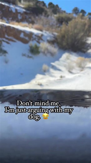 Love that I accidentally recorded this. 😂 We made a treat heist from my brothers property 😂 #funny #heeler #pets