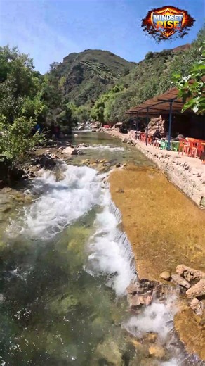 the power of language and communication #shorts