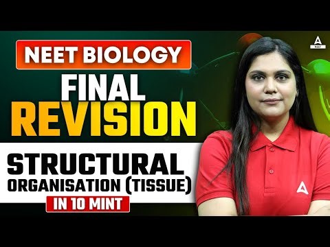 Structural Organisation in Animals Class 11 | FINAL REVISION | NEET 2024 | Garima Goel