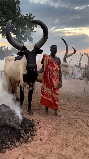 They Live Inside Trees in Winter 😱🌳 #shorts #viral