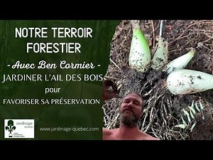 JARDINER L'AIL DES BOIS - PROPAGATION ET PRÉSERVATION AVEC BEN CORMIER