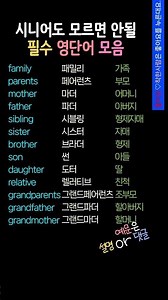 초급영어 필수동사 12개 | 원어민이 매일 쓰는 영어회화| 부모님, 형제자매, 조부모 영어로? #영어기초배우기 #시니어영어