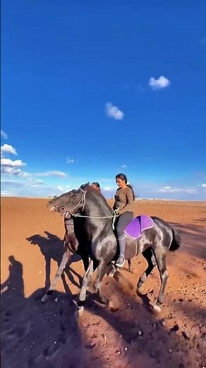 Iranian woman heavy horse riding in field #horsebackadventure
