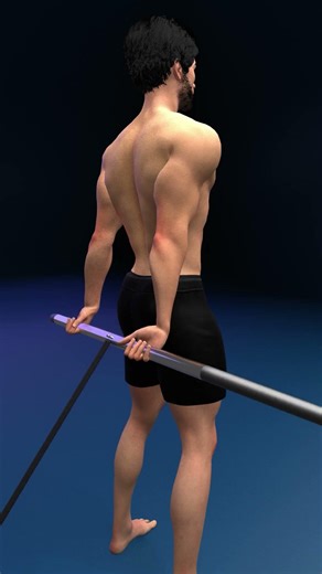 GROW YOUR FOREARMS (With the Cable Machine)