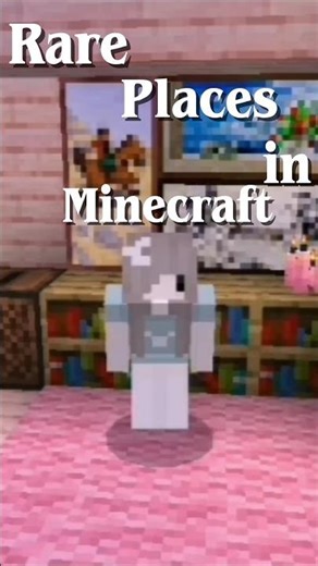 The RAREST Places in Minecraft