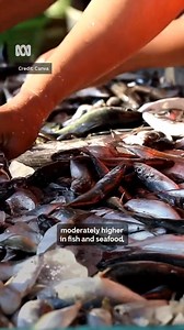 17K views · 79 reactions | Turns out the Mediterranean diet and the Australian Guide To Healthy Eating are really similar 綾 : Dr Emma Beckett for Science Friction: Cooked. : Hear it now on the free ABC listen app: https://ab.co/ABCListenApp | ABC News | Facebook